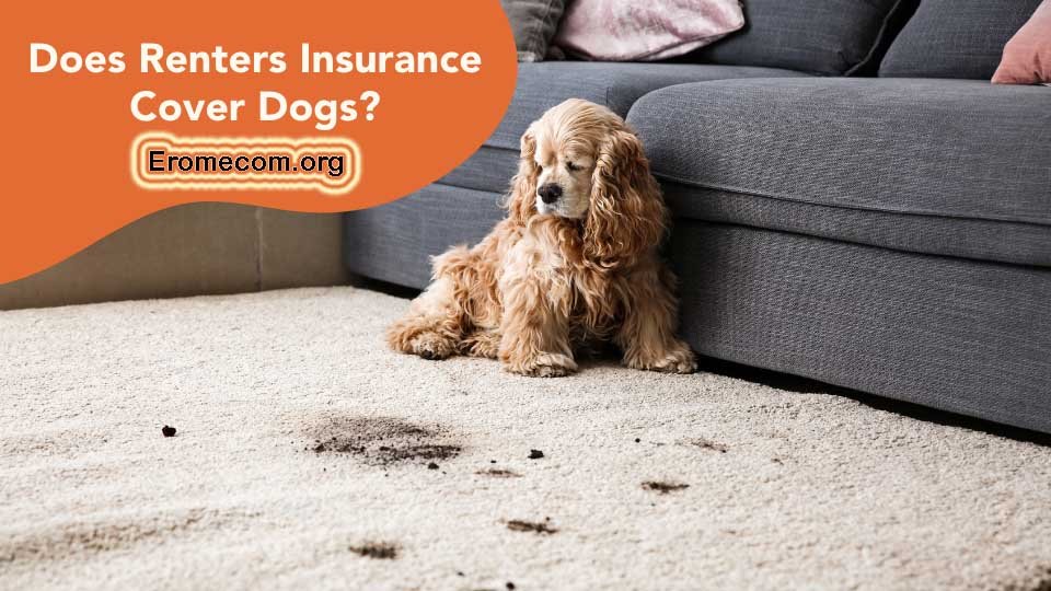 Does Renters Insurance Cover Dogs? Everything You Need to Know