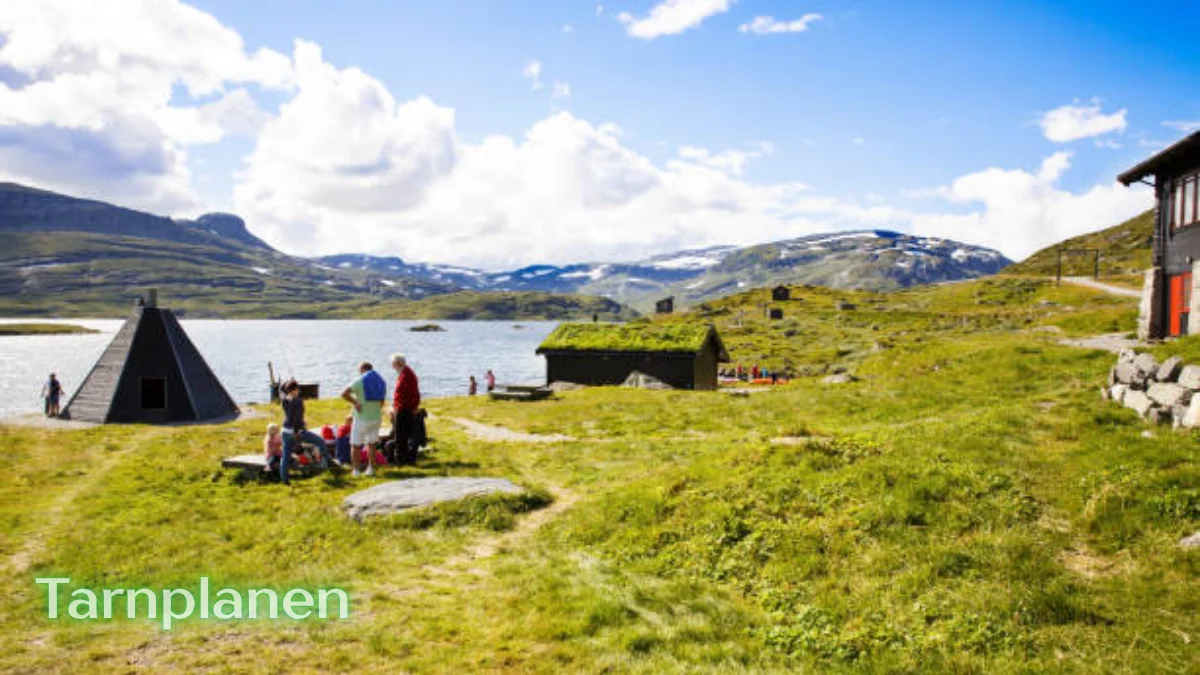 Unveiling Tarnplanen A Unique Concept Bridging Nature and Community