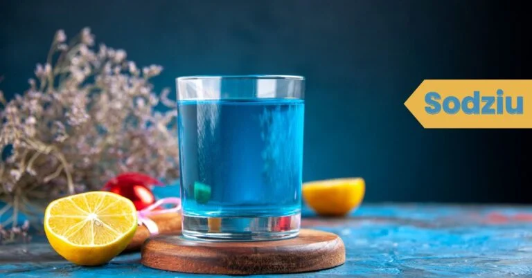 Discovering Sodziu A Blend of Tradition, Innovation, and Culture