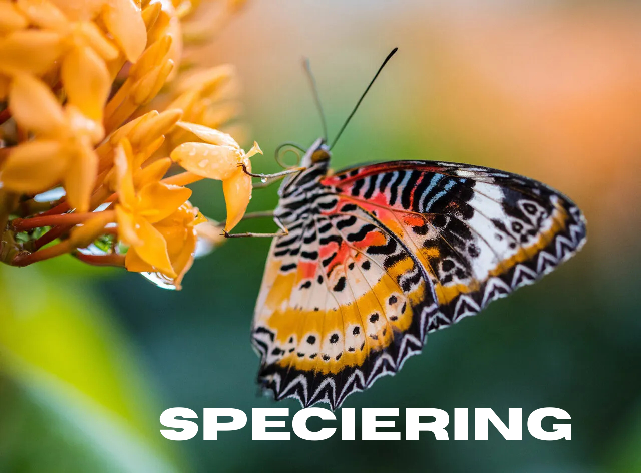 The Process of Speciering and Its Impact on Life