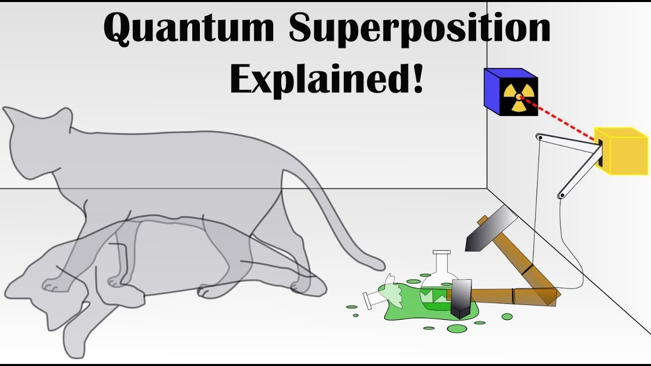 Quantum Superposition for Dummies A Simple Guide to a Complex Concept