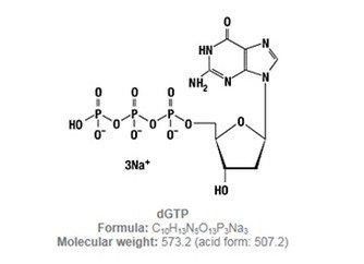 Nukleotidy The Building Blocks of Life Explained