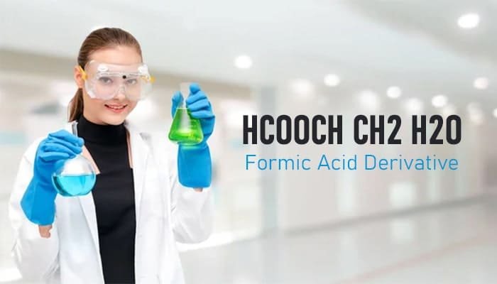 The Role of HCOOCH CH2 H2O in Modern Chemistry and Industry